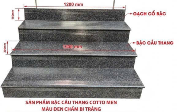 Bậc Cầu Thang Cotto Men Màu Đen Chấm Bi Trắng